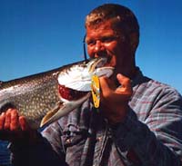 Lake Michigan Salmon