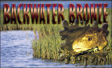 Backwater Bronze