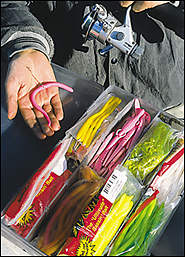 Soft plastics in a variety of styles and colors