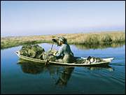 Boat-equipped hunters can find amazing freedom in the Smith Marsh, Cedar  Lakes and Salt Bayou hunting areas.