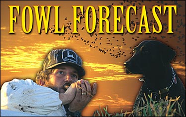 Fowl Forecast