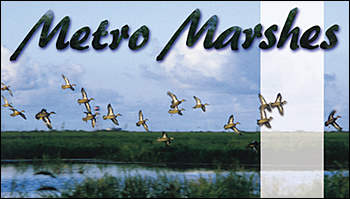 Metro Marshes