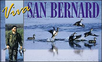 Viva San Bernard